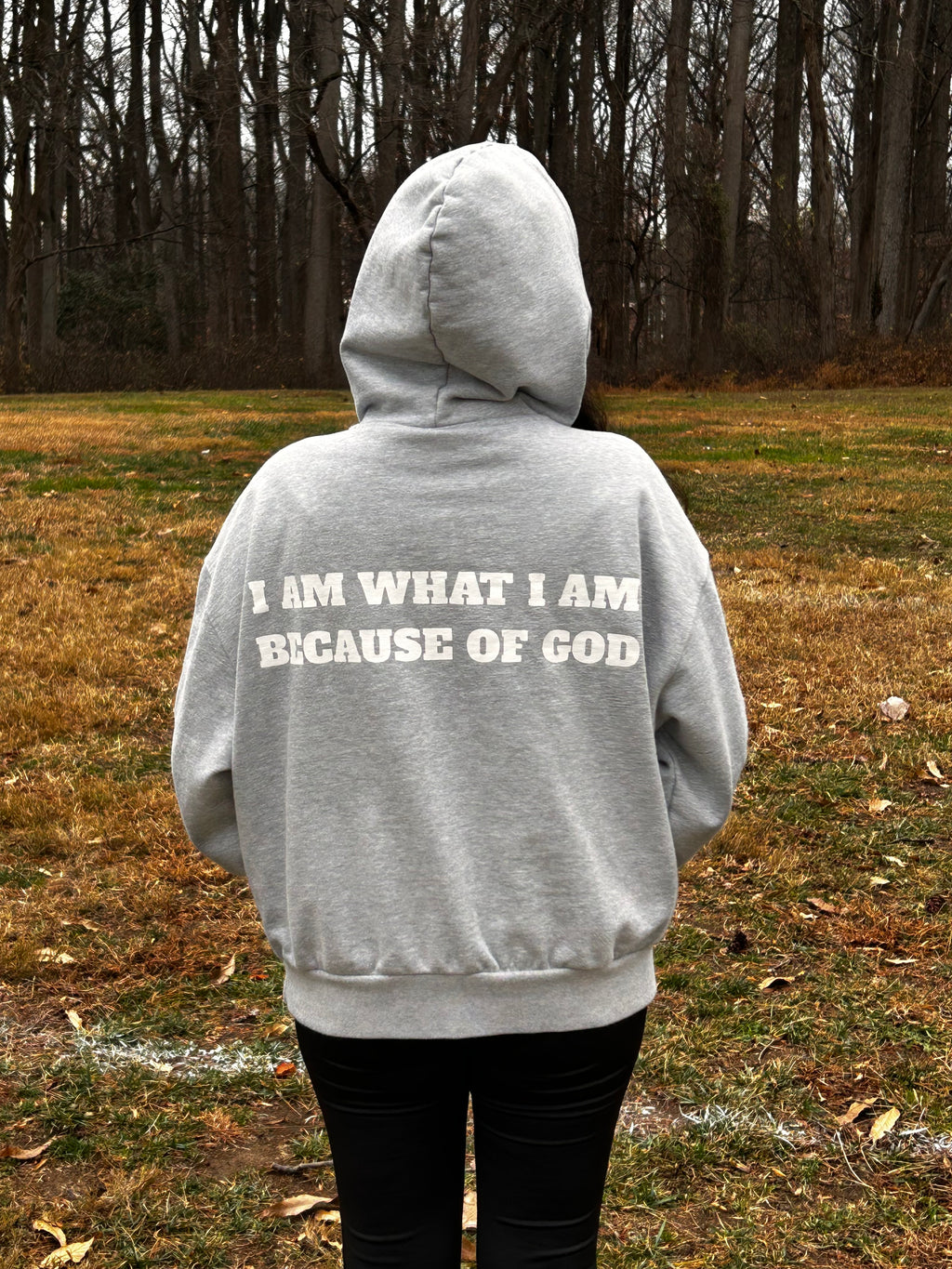 Jesus Shines Hoodie