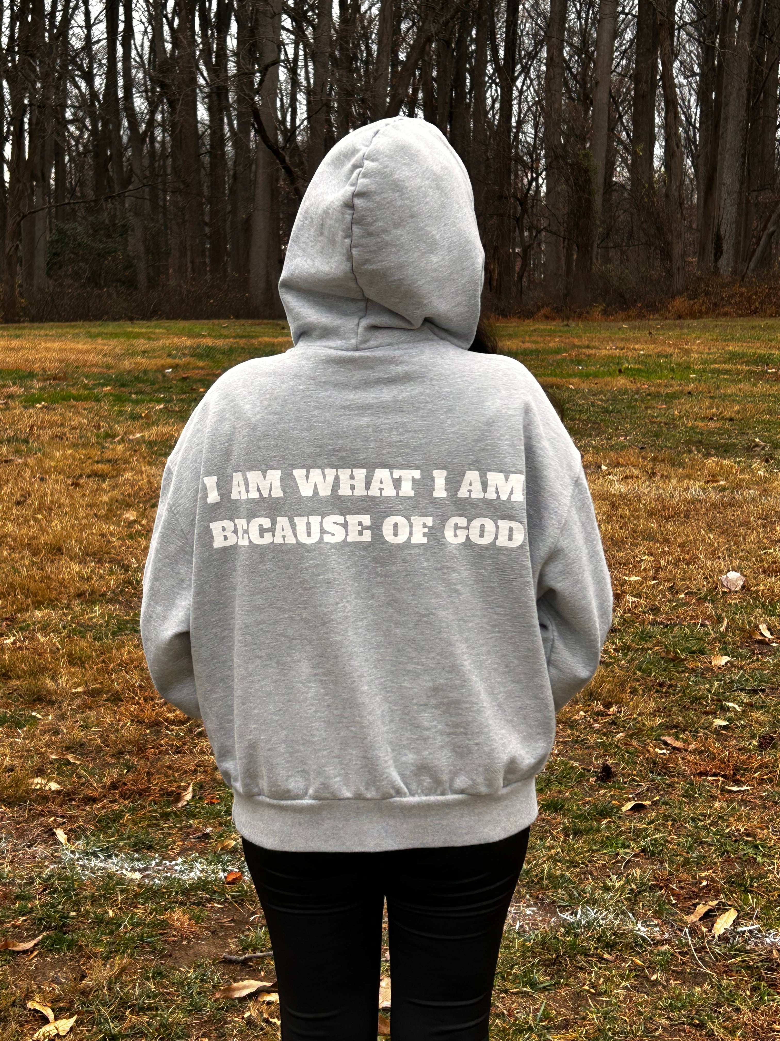 Jesus Shines Hoodie
